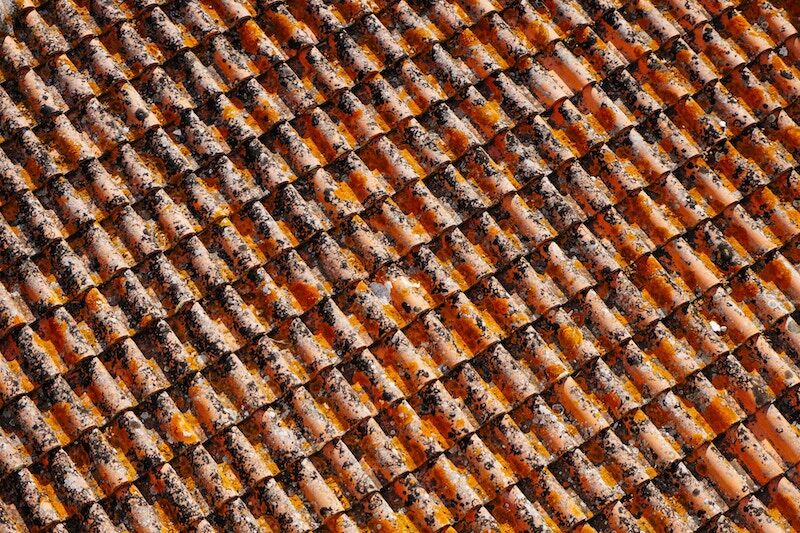Shingles on a roof are one way to tell whether your roof needs repair